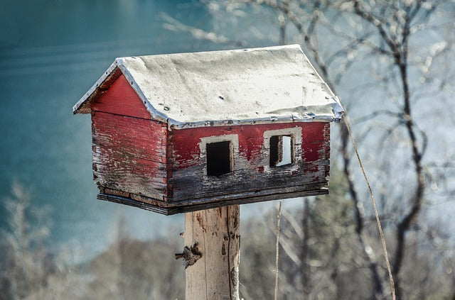 Vogelhäuser selber bauen - Tipps für den Bau eines Vogelhauses
