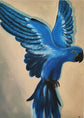 Leinwandbild Papagei - Handgemaltes Wandbild 70x50x2cm